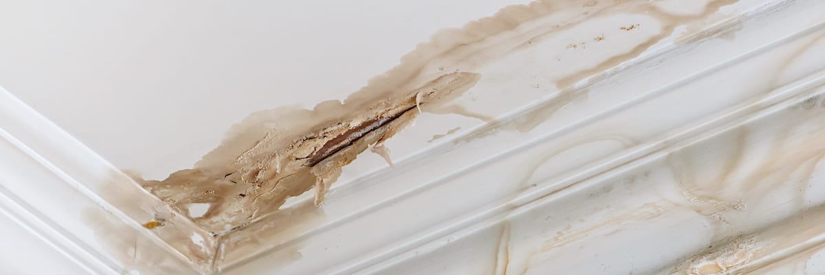 Water-damaged ceiling
