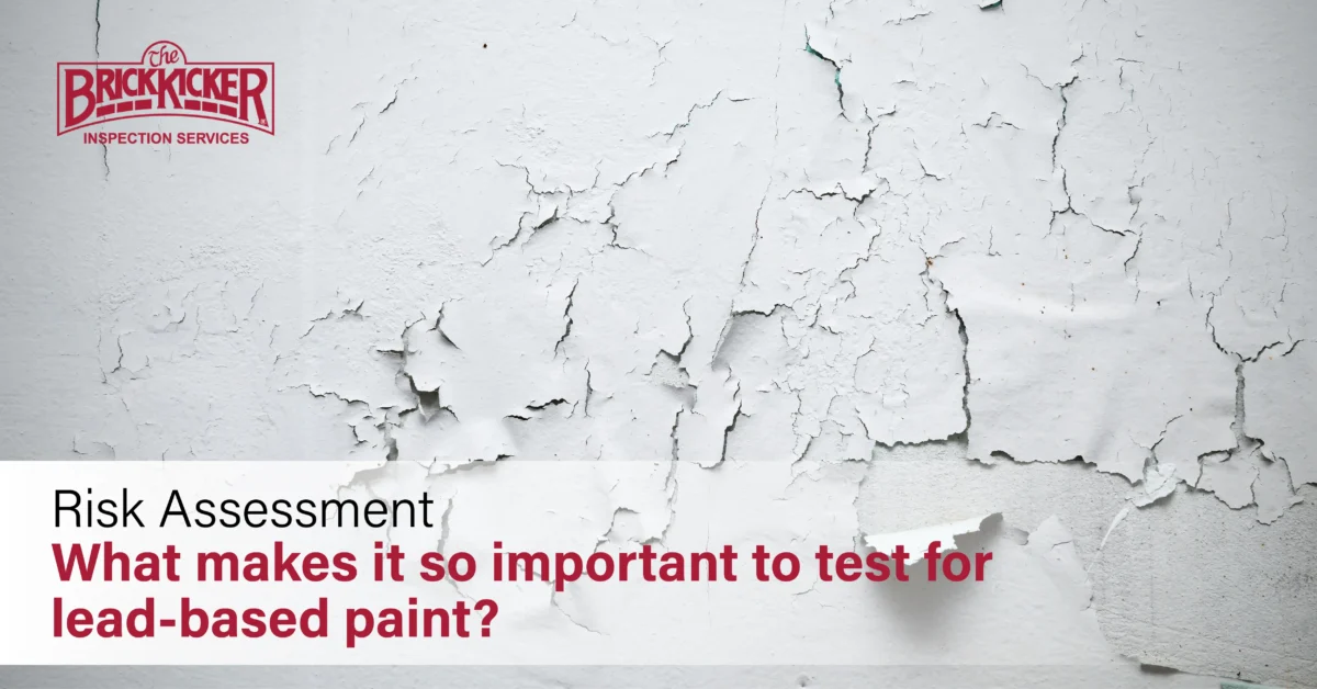 lead based paint test