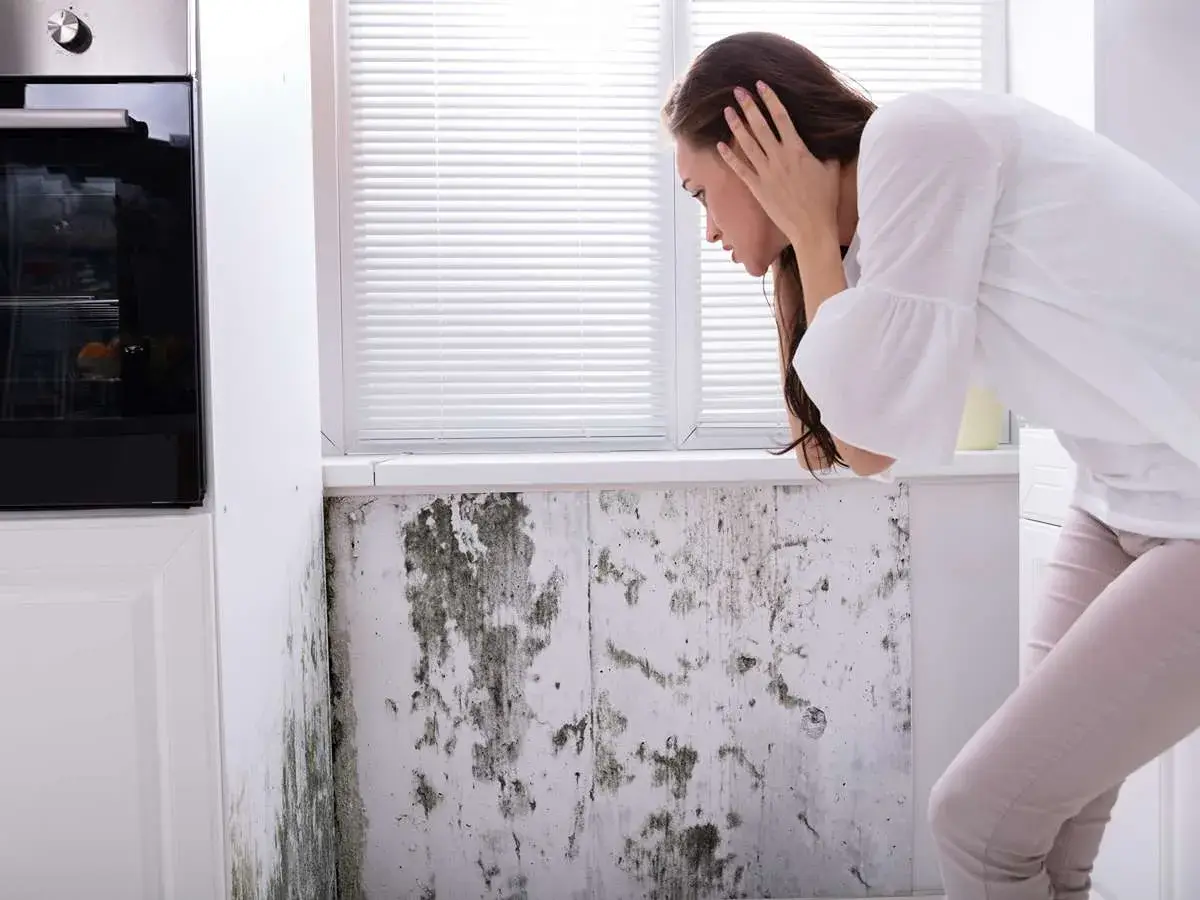signs of mold in home​