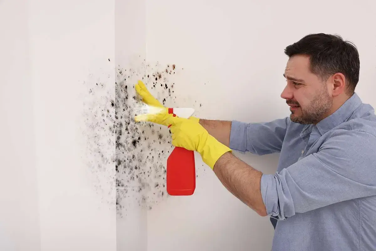prevent mold gorwth