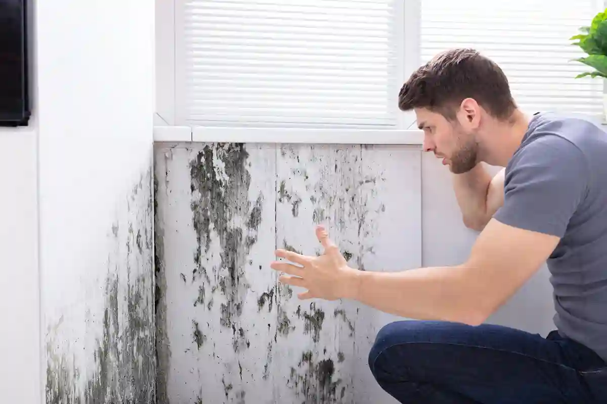 How to Prevent Mold Growth After Water Damage